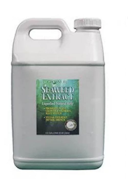 Grow More Seaweed Extract Liquid 2.5 Gallon